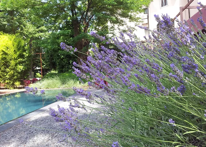 Hotel Clocchiatti Next