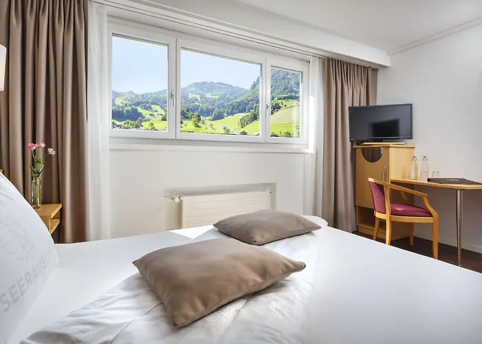 Seerausch Swiss Quality Hotel