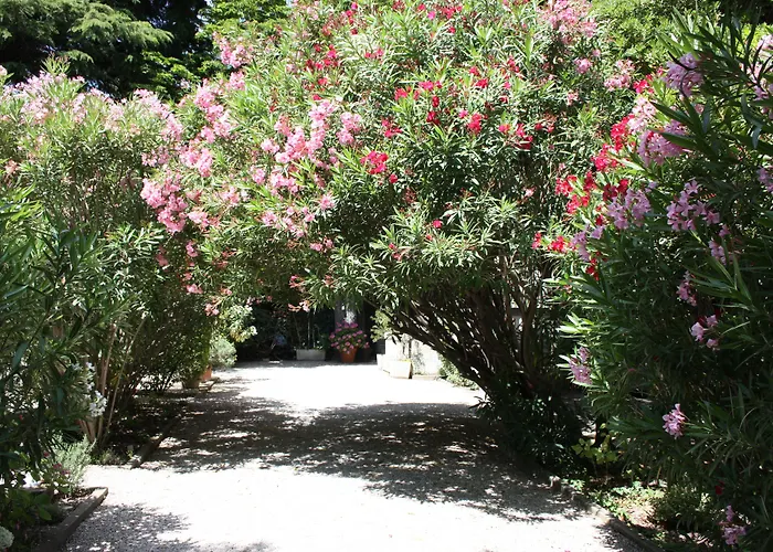 Hôtel le Chalet Fleuri