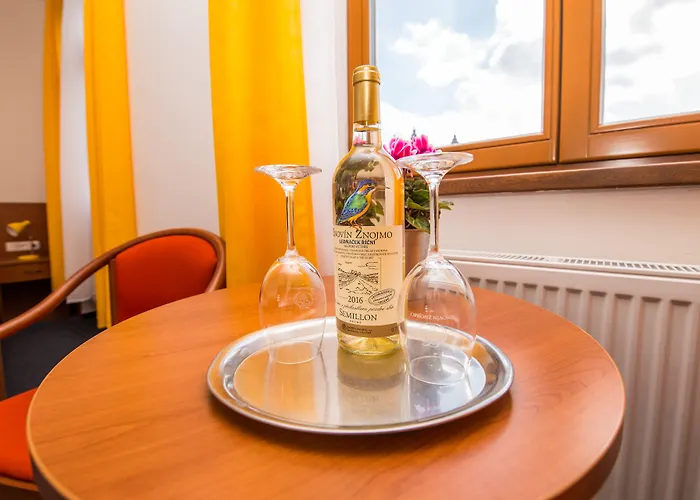Hotel Morava