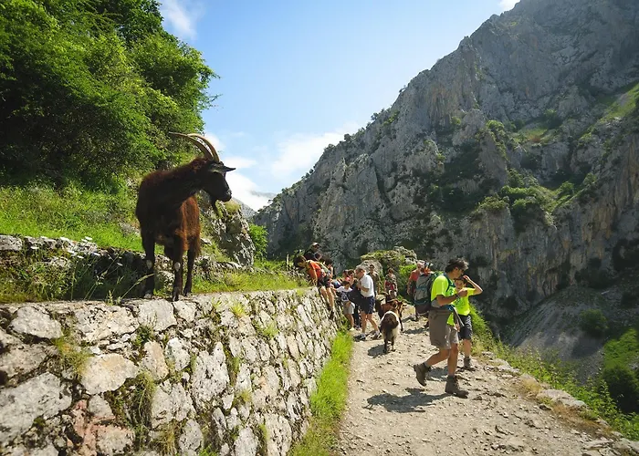 Arcea Mirador de Cabrales