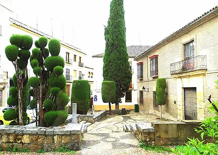 Hotel Plateros