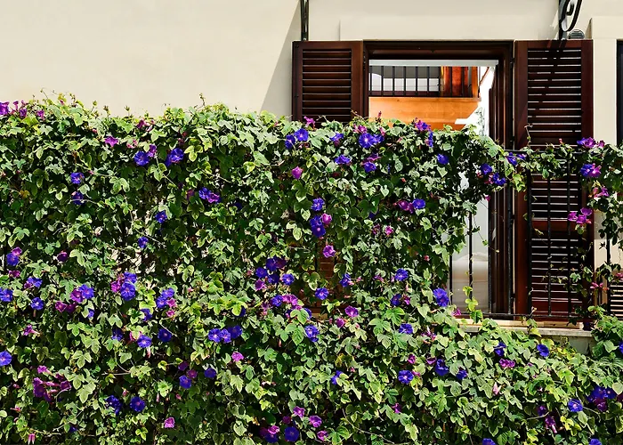 Kallikoros Country Resort&Spa