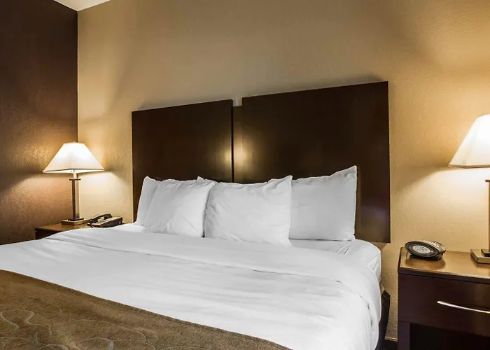 Comfort Suites Whitsett - Greensboro East