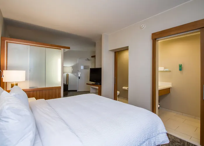 Springhill Suites By Marriott San Angelo