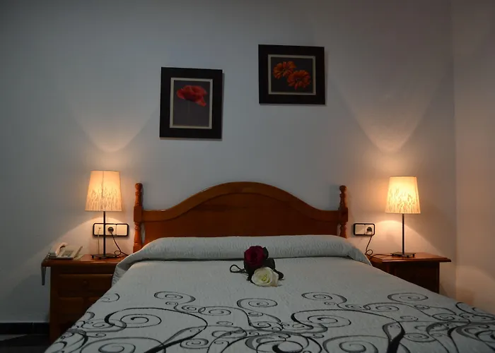 Hotel Oasis