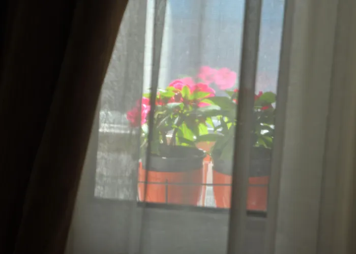 Mini hotel
