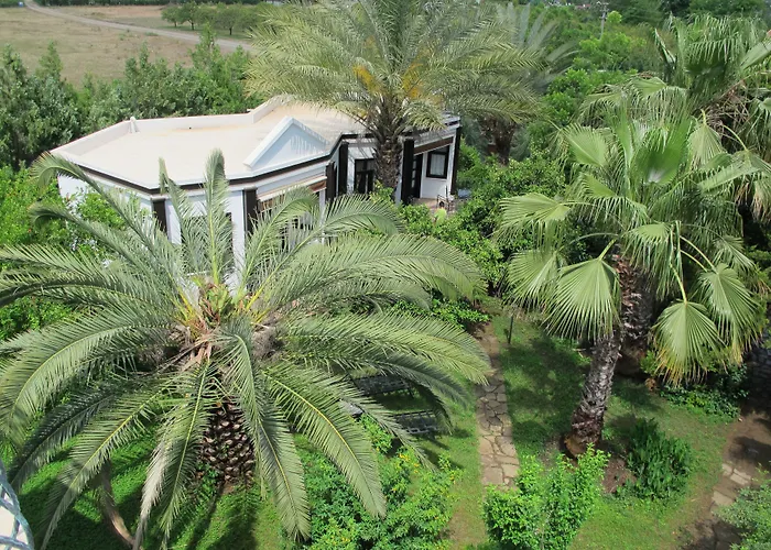 Hemerans Anatolia