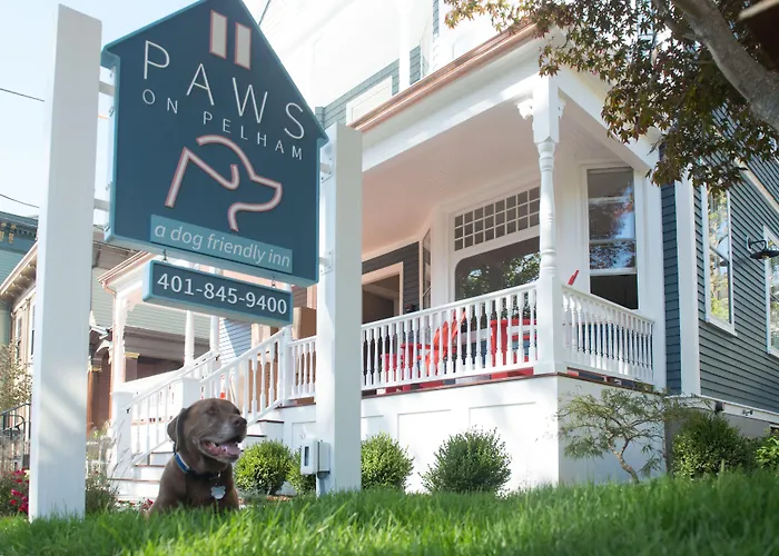 Paws On Pelham (Adults Only)