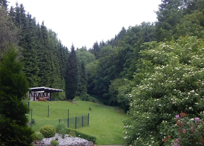 Hotel&Gasthof Hubertushöhe - Ihr Hotel für Urlaub mit Hund