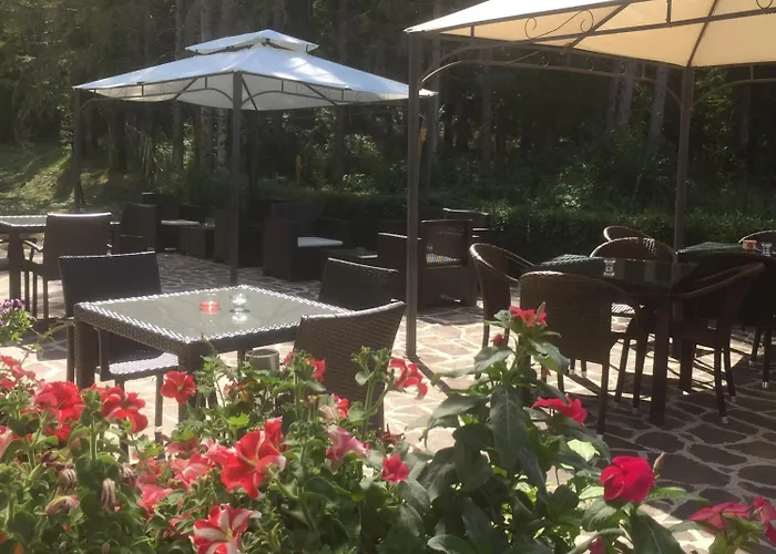 Hotel Alisma