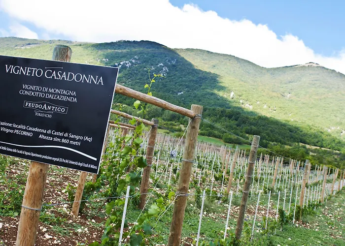 Casadonna Reale