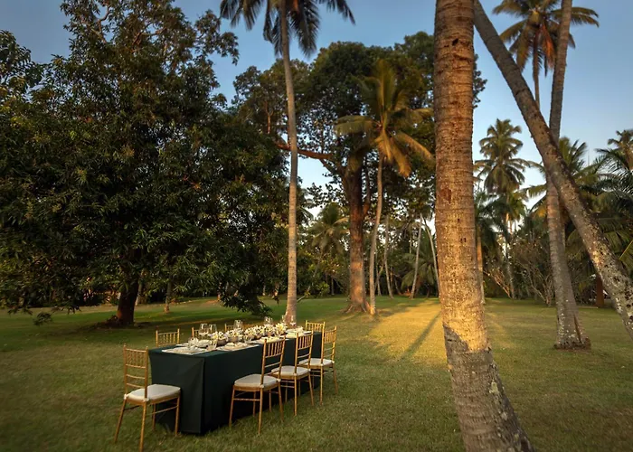 Uga Riva - Negombo