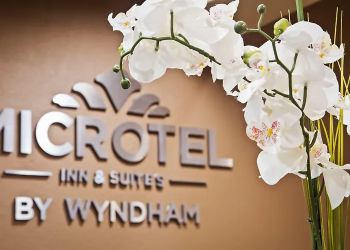 Microtel Inn & Suites By Wyndham Buda Austin South