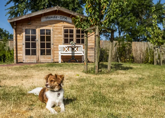 Hotel Pharisaeerhof - Das Hundehotel Auf Nordstrand Mit Restaurant Und Cafe