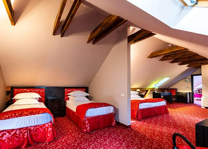 Hotel Central Park Sighisoara