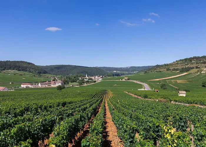 Hôtel Les Hauts de Meursault