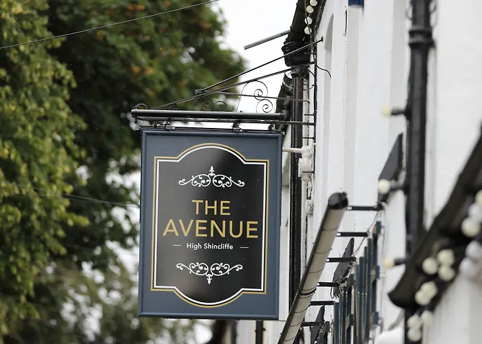 The Avenue