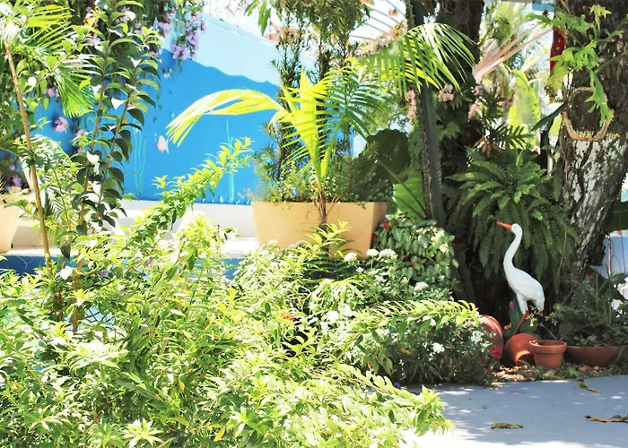 Porto Bahia Hotel