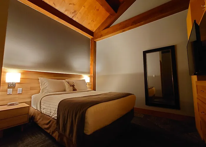 Timberland Inn