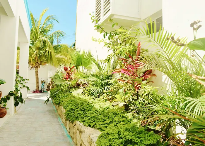 Corales Suites