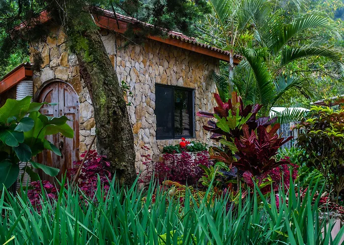 The Inn At Palo Alto