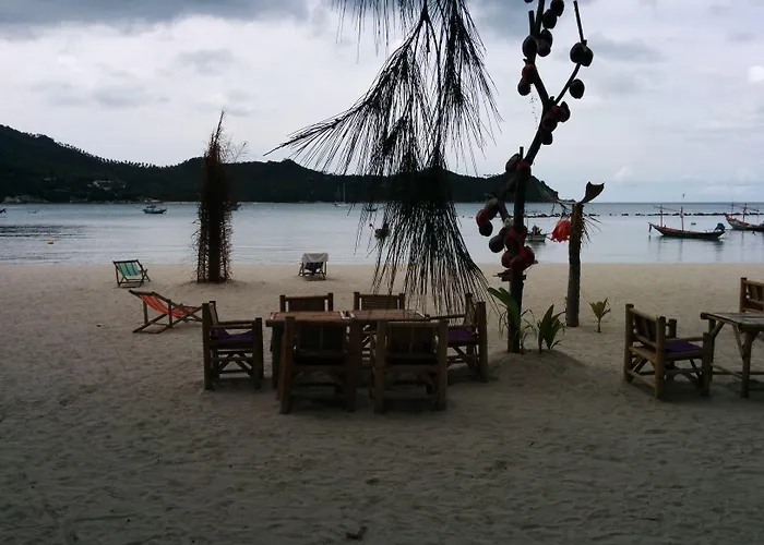 Dolphin Bungalows