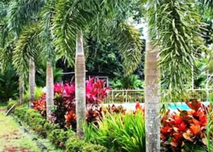 Hotel Colores Del Arenal