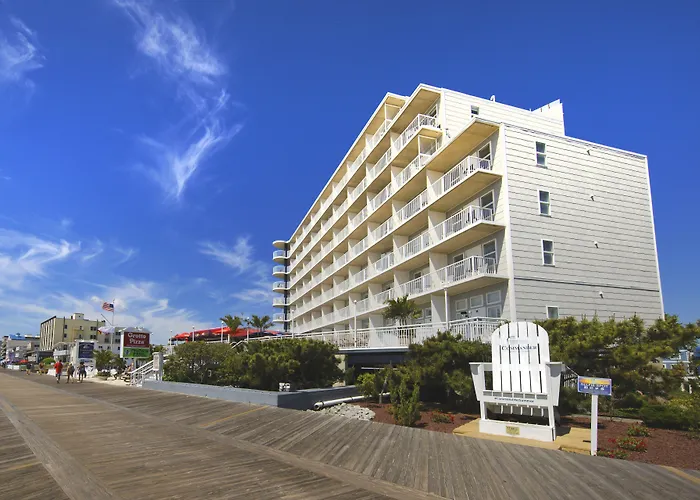 Commander Hotel&Suites
