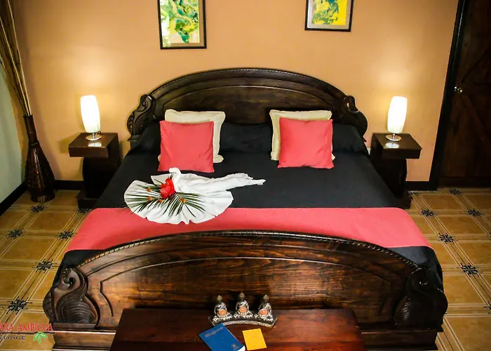 Ara Ambigua Lodge