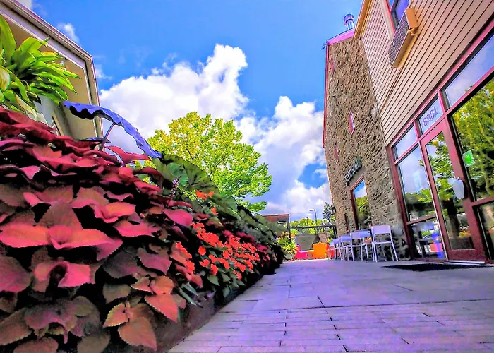 Chestnut Hill Hotel