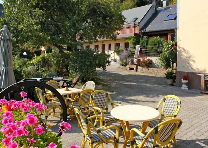 Hôtel Restaurant Domaine De Basil