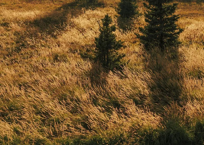One&Only Moonlight Basin