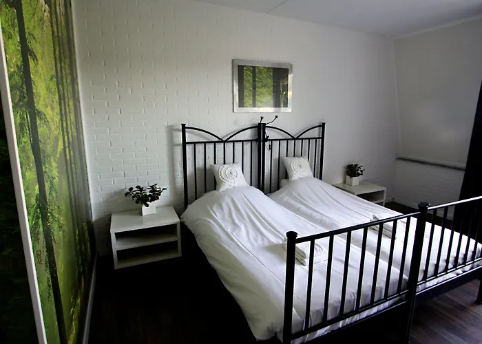 Hotel Buxus