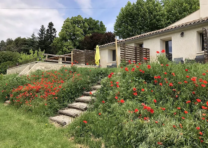 Les Ânes de Forcalquier