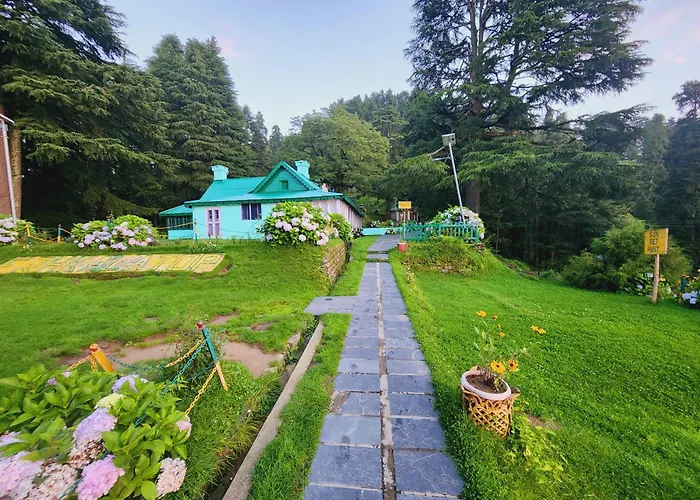 Forest Vibes Kalatop-Rooms And Restaurant