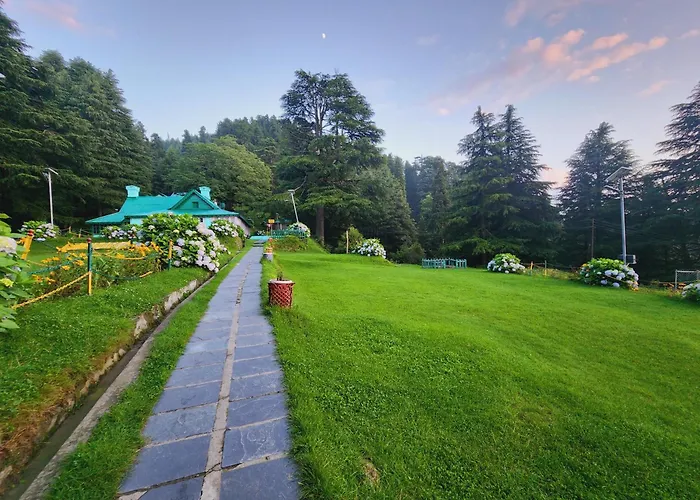 Forest Vibes Kalatop-Rooms And Restaurant