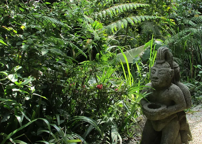 Hospedaje Mariposa Monteverde