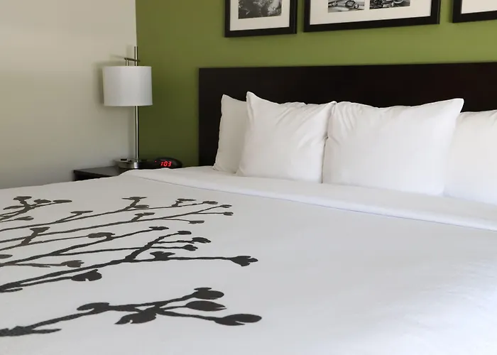 Sleep Inn Ellenboro Hwy 50