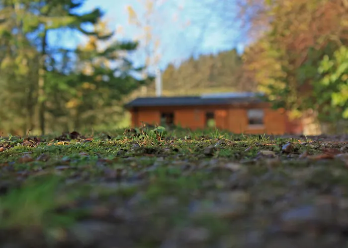 Saplinbrae Hotel&Lodges