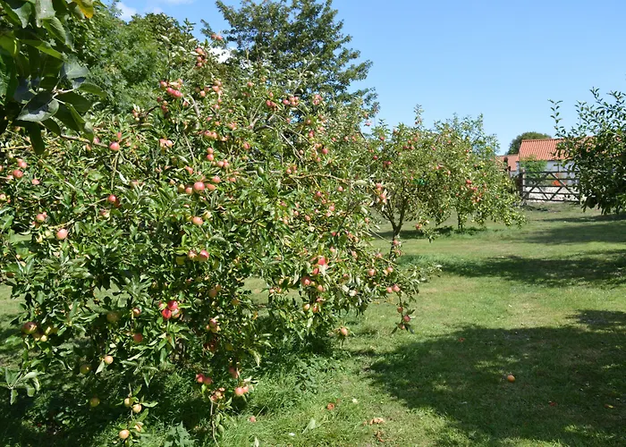 Orchard Lodge
