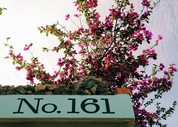 San Tropico Boutique Hotel & Peaceful Escape