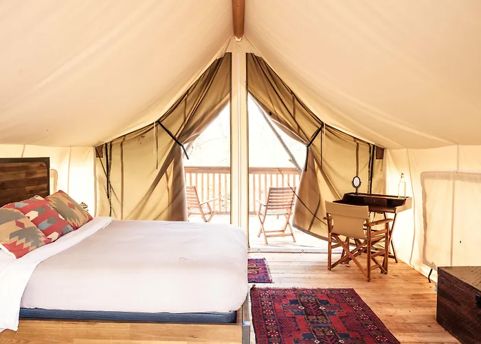 Firelight Camps