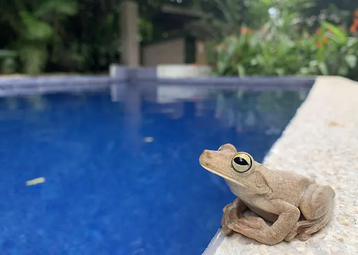 La Posada Jungle Hotel