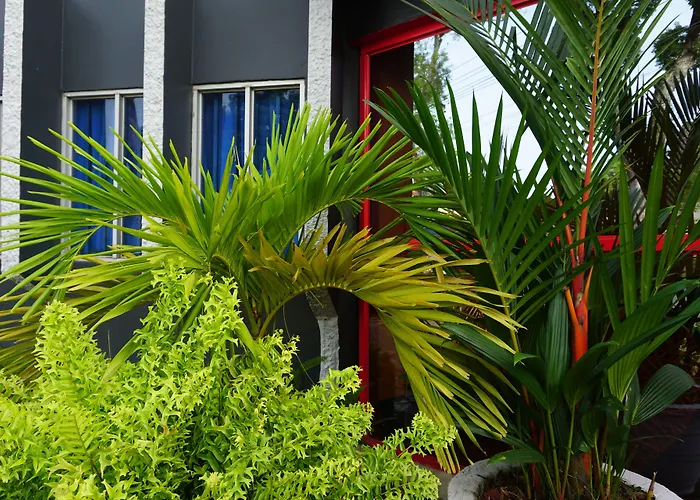 Holland Lodge Paramaribo