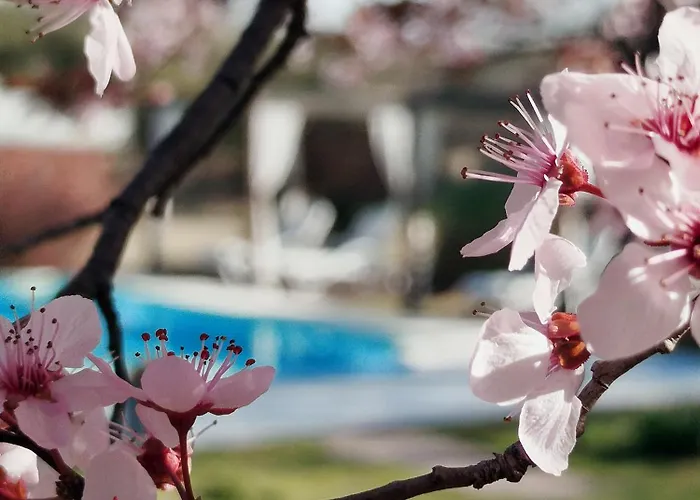 Posada de Campo - Hotel Boutique - Adults Only