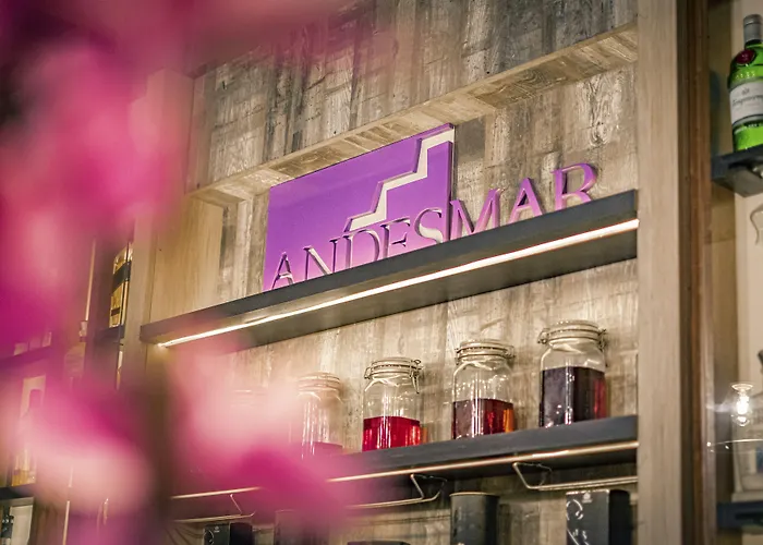 Hotel Andesmar