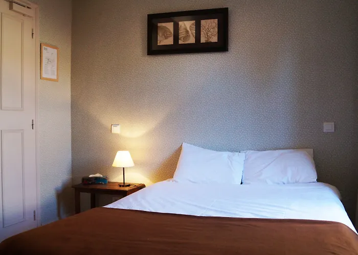 Hotel Du Saumon