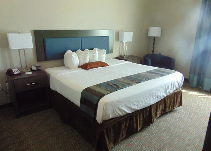 Wingate By Wyndham Lubbock