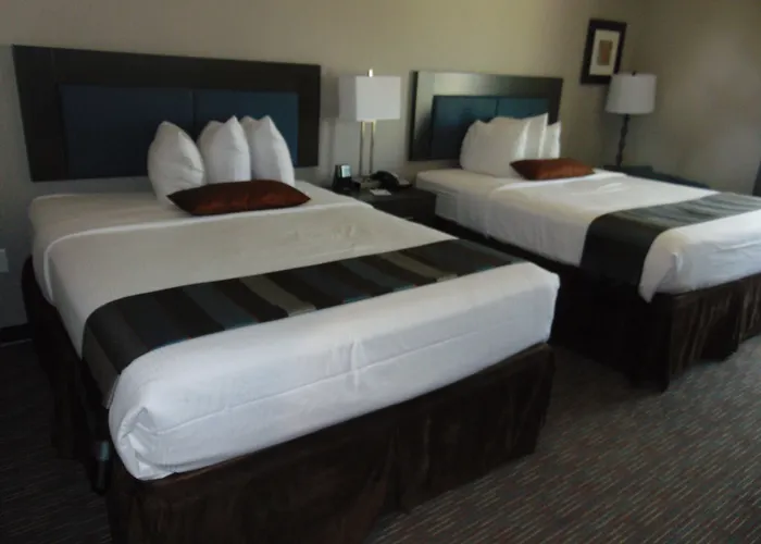 Wingate By Wyndham Lubbock